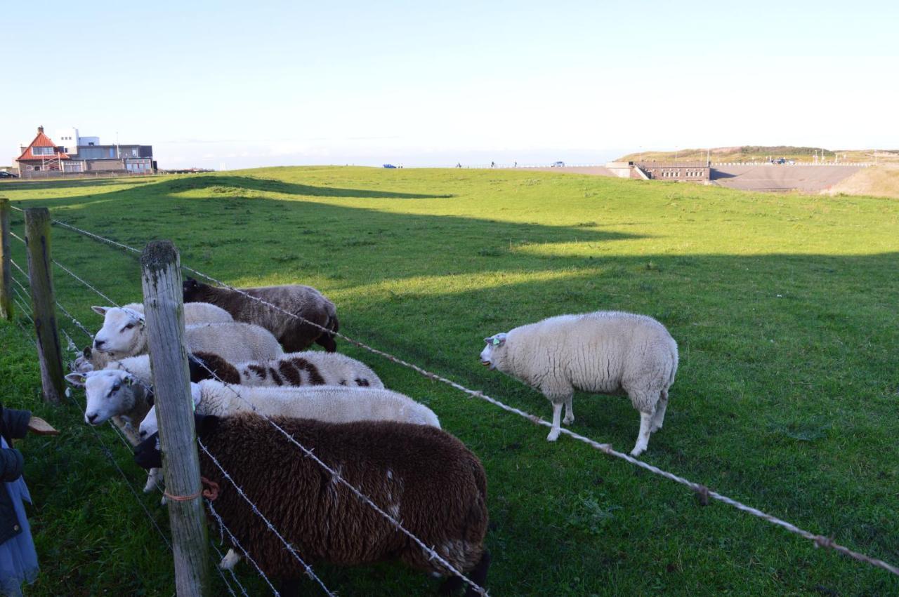 Kw96 Katwijk Aan Zee公寓 外观 照片